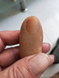 仙人指