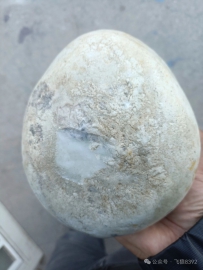 石包玉？